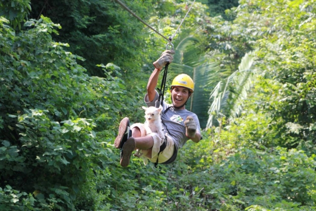 Visita guiada de tirolina